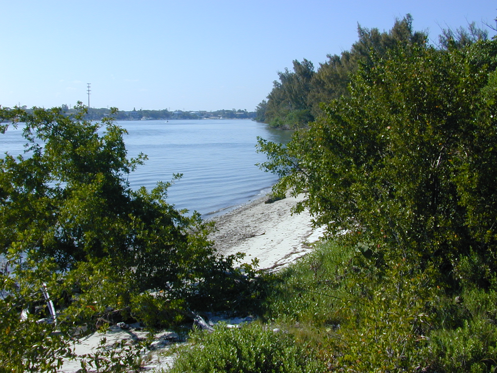 The Indian River Lagoon's western shore, the geographic focus of Palm Bay's Bayfront CRA.